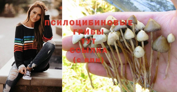 гашик Армянск