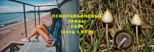 не бодяженный Арсеньев