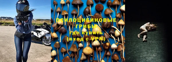 не бодяженный Арсеньев