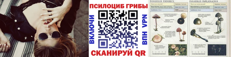 Галлюциногенные грибы мухоморы  Учалы 